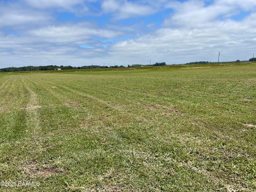 1009 Vie Terre Beau Rd, Basile, LA 70515 - photo 1