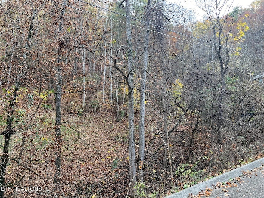 0 Pulaski Ln unit 1282050, Sevierville, TN 37862 - photo 1