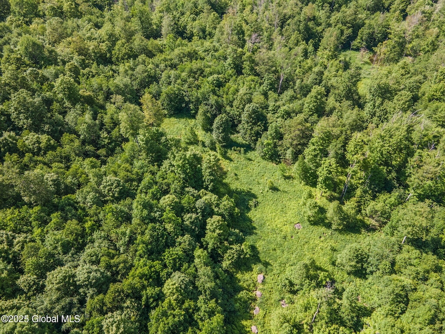 55-372JonesHIllRd_52