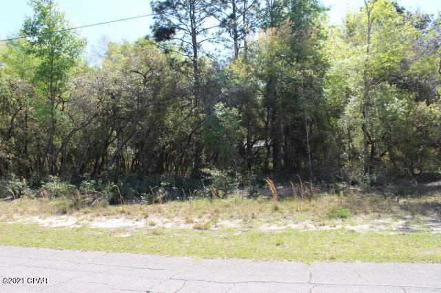 2702 W Forbes Place, Citrus Springs, FL 34434 - photo 1