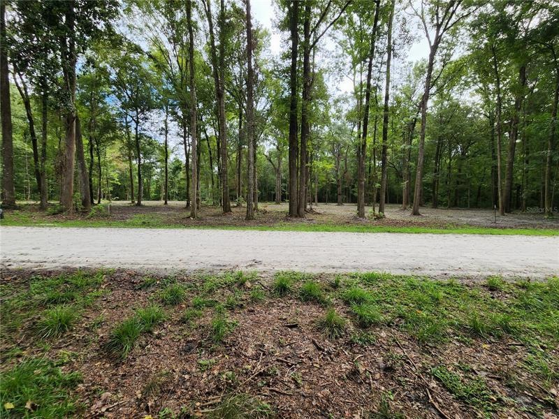 Lot 51 SW Boston Terrace, Fort White, FL 32038 - photo 1