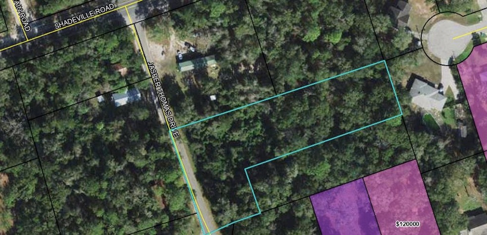 X Jasper Thomas Rd, Crawfordville, FL 32327 - photo 1