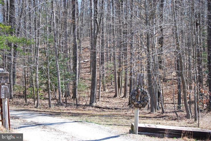 0 Patriot Ln unit VASP2022168, Fredericksburg, VA 22408 - photo 1