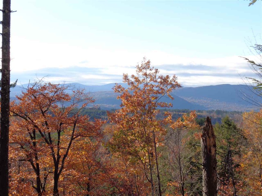 Lot 12 Dick Brown Rd, Bristol, NH 03222 - photo 1