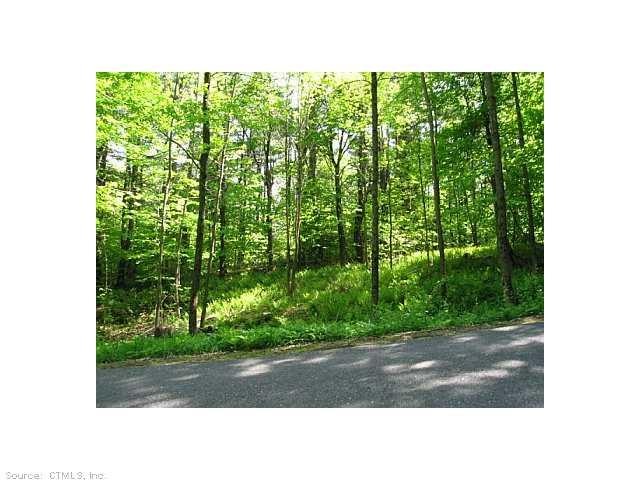 Exterior Front. Lot 4 w/brook 3.1 acres