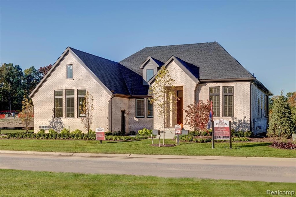 Hickory European Transitional Model.jpg