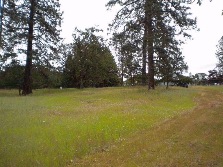 2500 Bison Place, Gold Hill, OR 97525 - photo 1