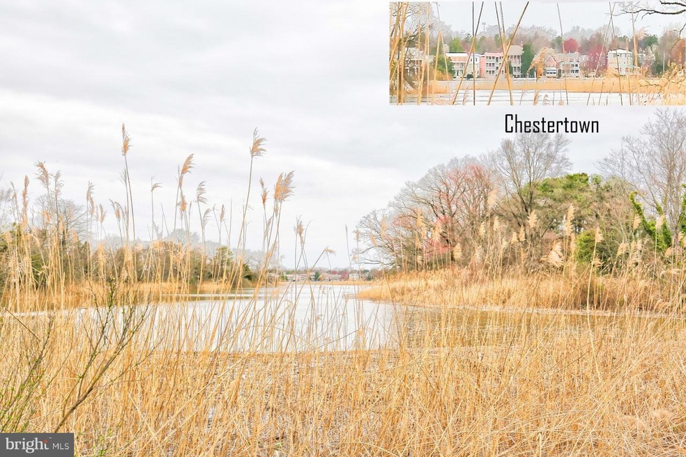 101 Hillside Rd, Chestertown, MD 21620 - photo 1