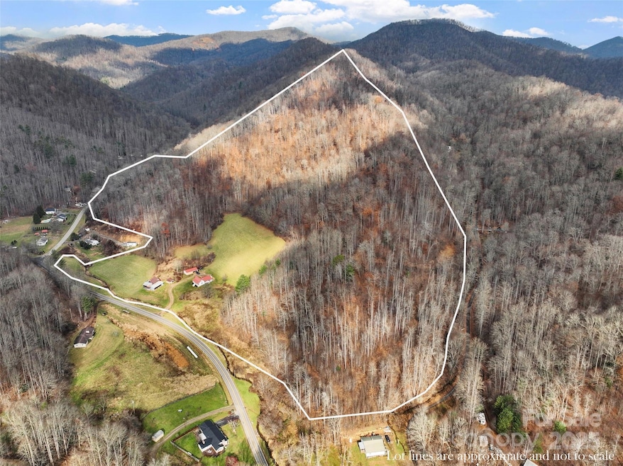 456 Windy Gap Rd, Mars Hill, NC 28754 - photo 1