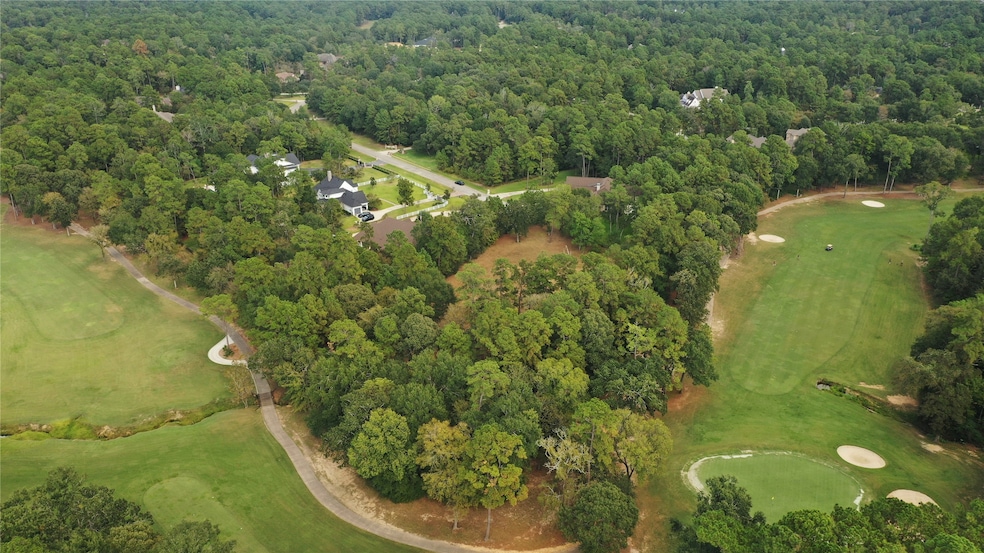 28103 Meadow Forest, Magnolia, TX 77355 - photo 1