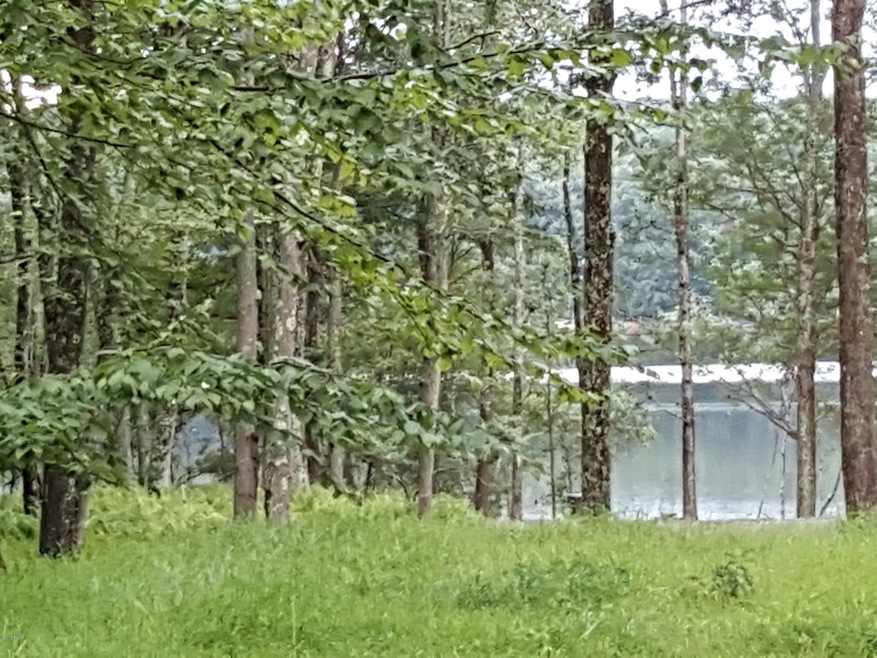 Lake View Across Road