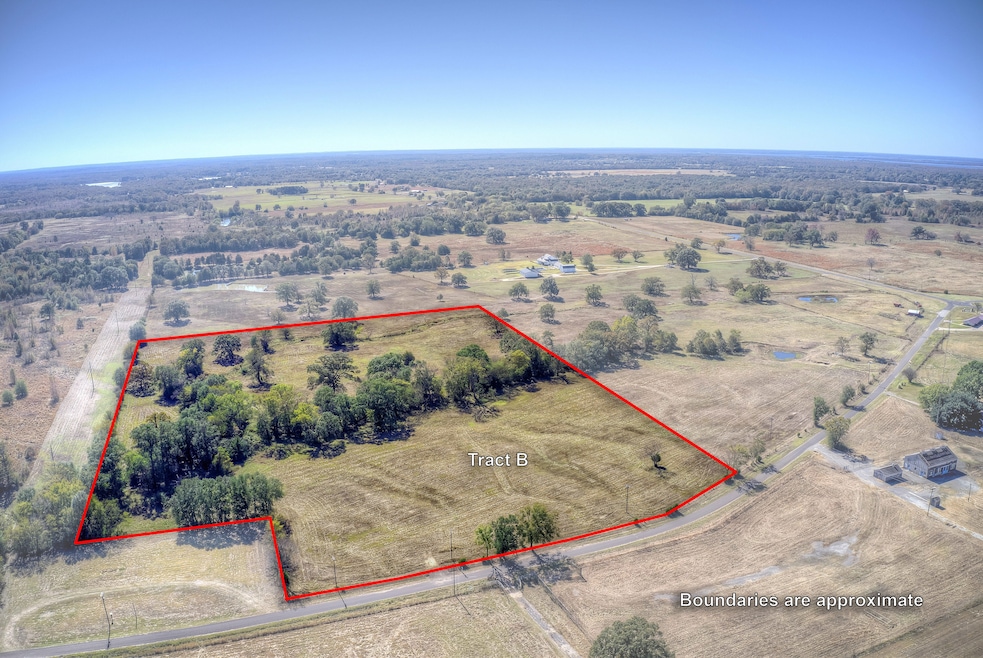 Tbd Tract B County Road 1468, Quitman, TX 75783 - photo 1