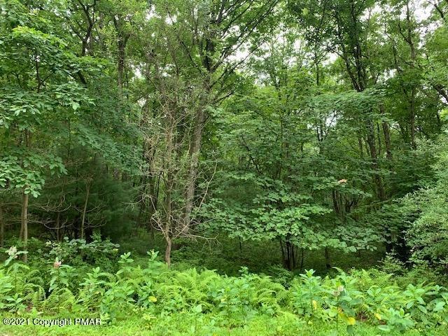 Sweet Briar Lot 2