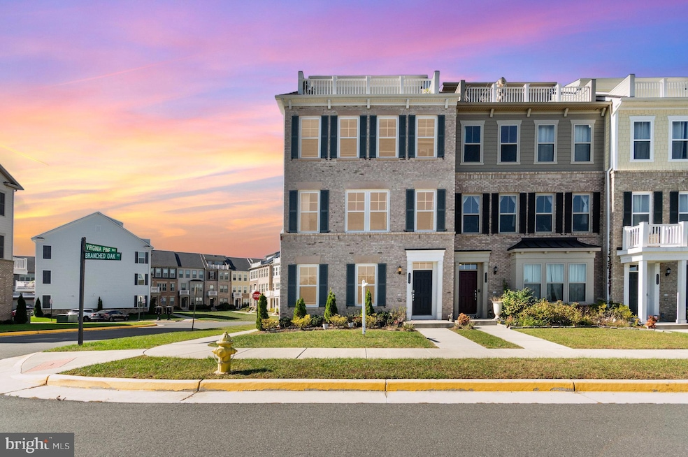 For Rent $3,500/month