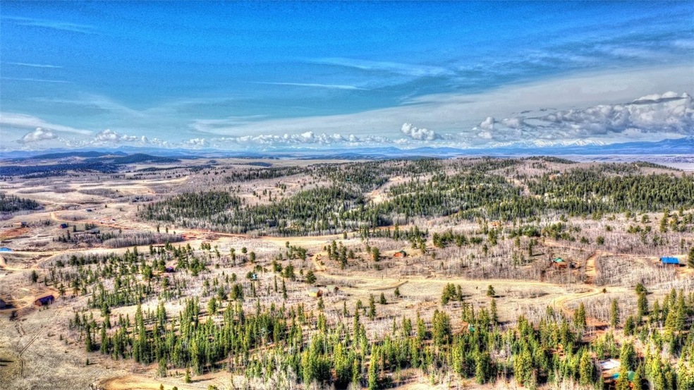 46 Red Bird Ln, Como, CO 80432 - photo 1