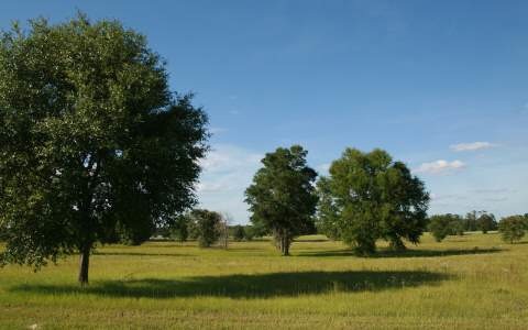 LOT26 Mandiba Dr, Lake City, FL 32024 - photo 1