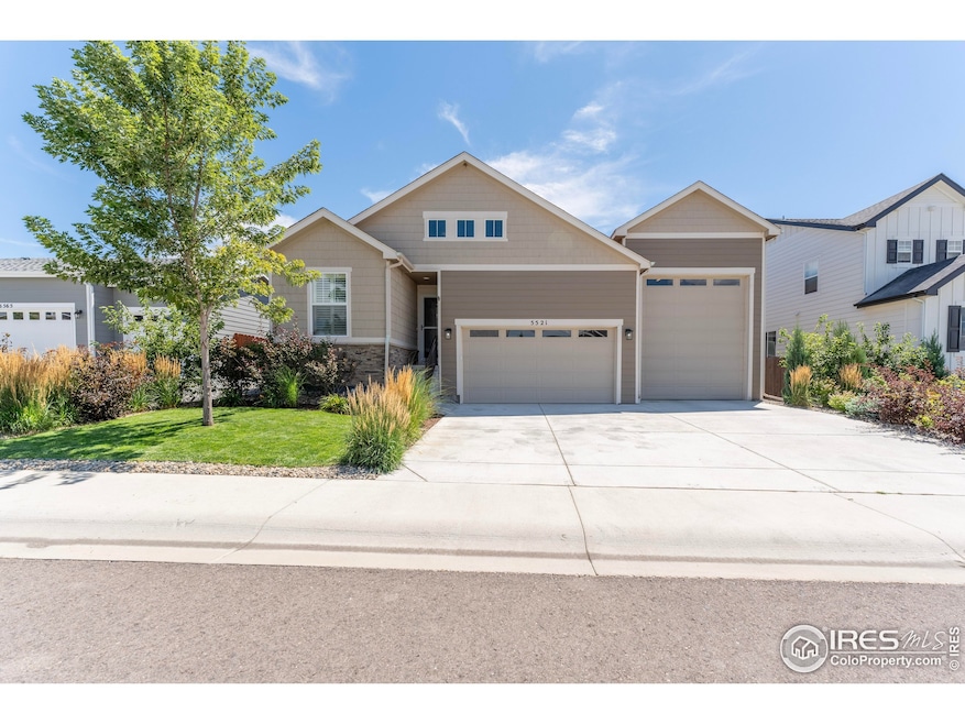 5521 Shady Oaks Dr, Windsor, CO 80528 - photo 1