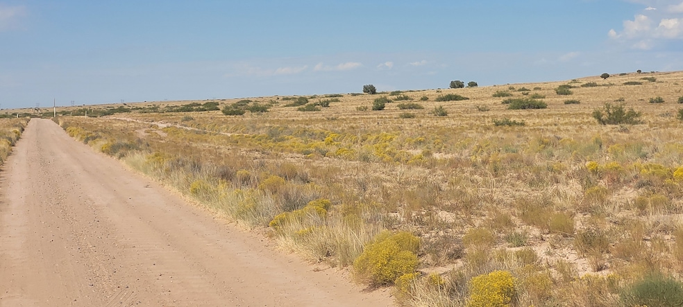 Katarina Ave unit Socorro County NM, Las Nutrias, NM 87062 - photo 1