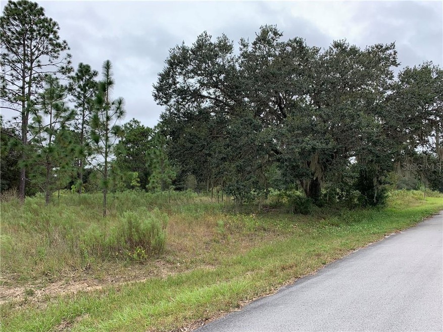 0 SW 209th Ave unit OM609696, Dunnellon, FL 34431 - photo 1