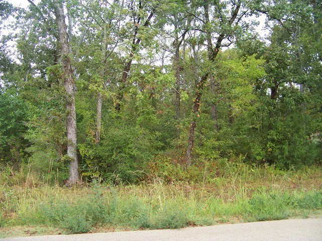 0 Joshua Ln, Lufkin, TX 75904 - photo 1