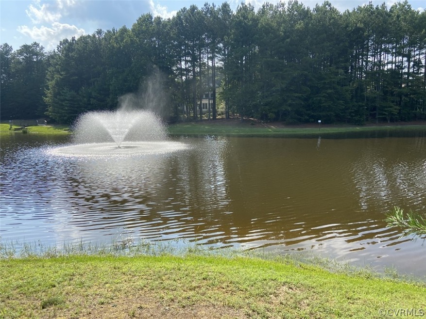 Pond View