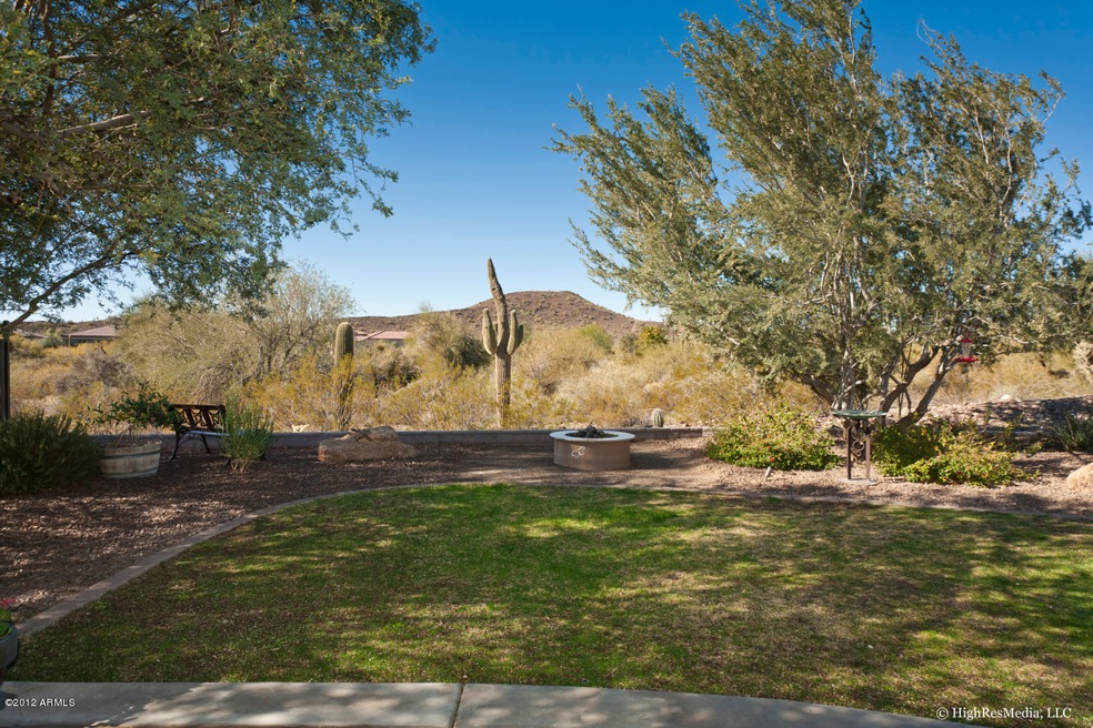 1_Backyard Views