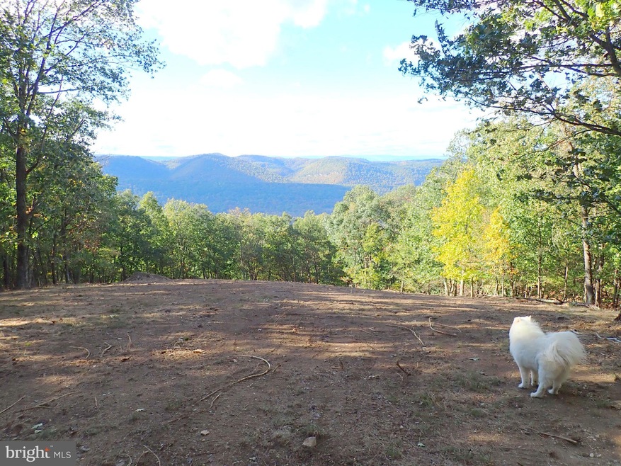 Lot 202 Hampshire Ridge Rd, Romney, WV 26755 - photo 1