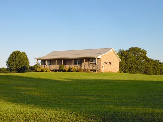 Main View