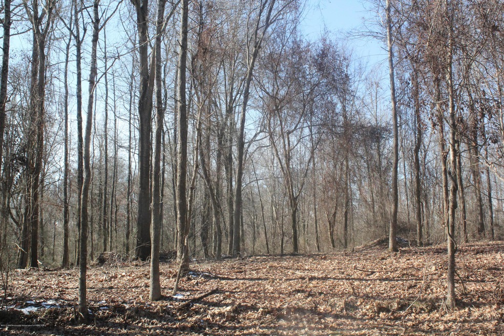 Primary Photo