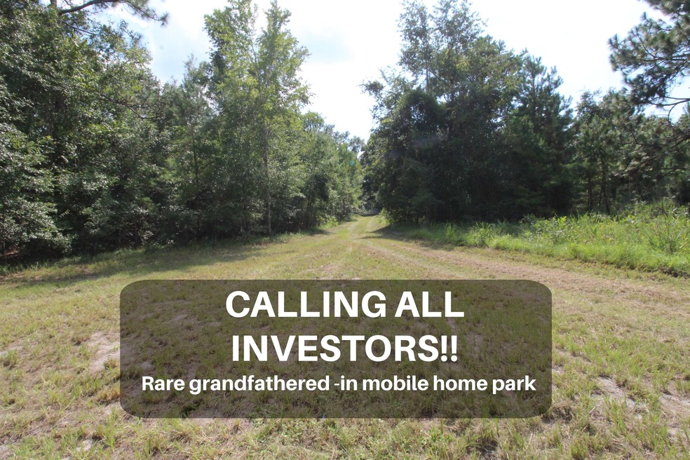 51 Ramblewood Rd, Crawfordville, FL 32327 - photo 1