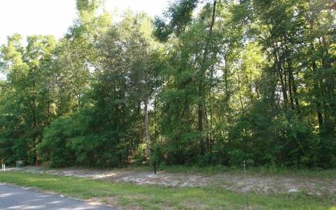 LOT19 Mandiba Dr, Lake City, FL 32024 - photo 1