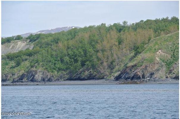 kodiak lot