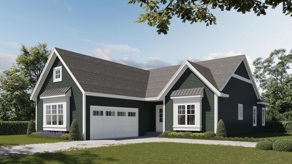 Cypress Rendering