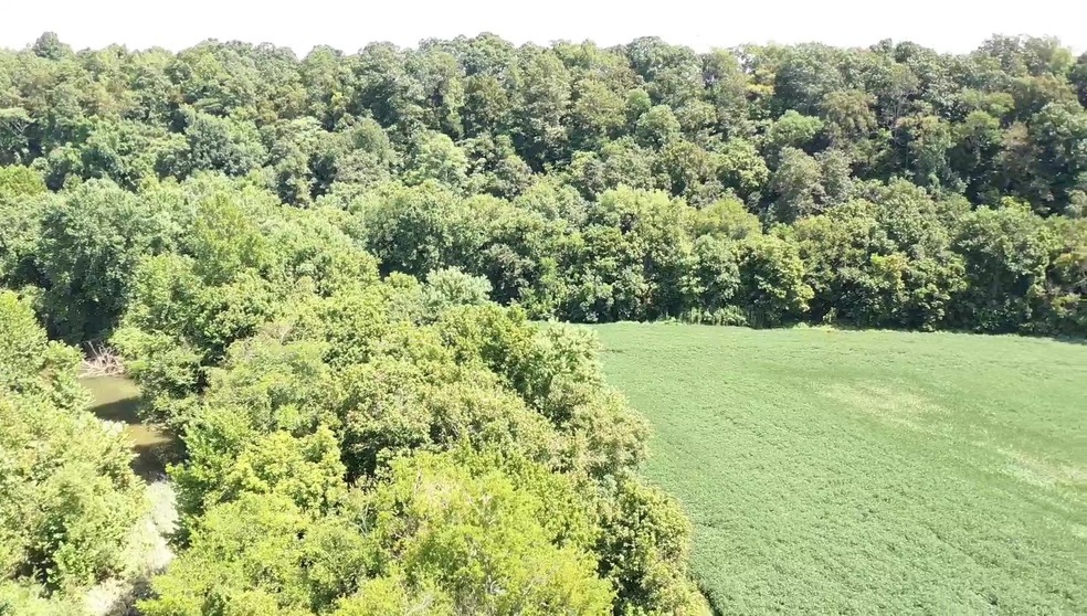 0 Slink Shoals Rd unit 2102638, Linden, TN 37096 - photo 1