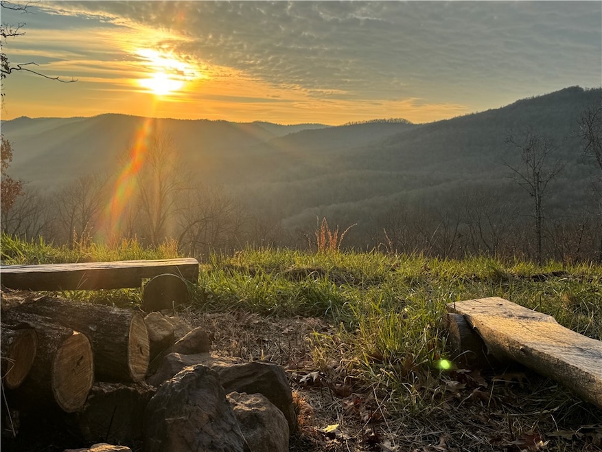 3103 Nc 8401, Jasper, AR 72641 - photo 1