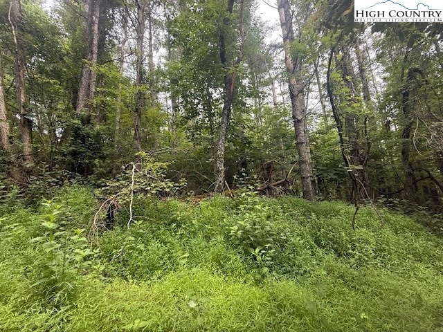 TBD Long View Dr, West Jefferson, NC 28694 - photo 1