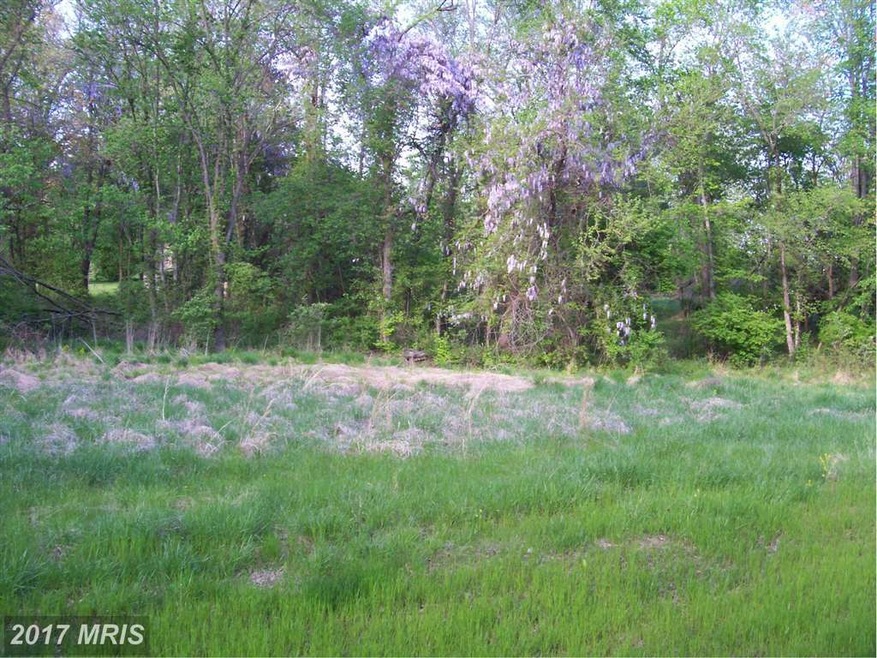 35321 Snake Hill Rd, Middleburg, VA 20117 - photo 1