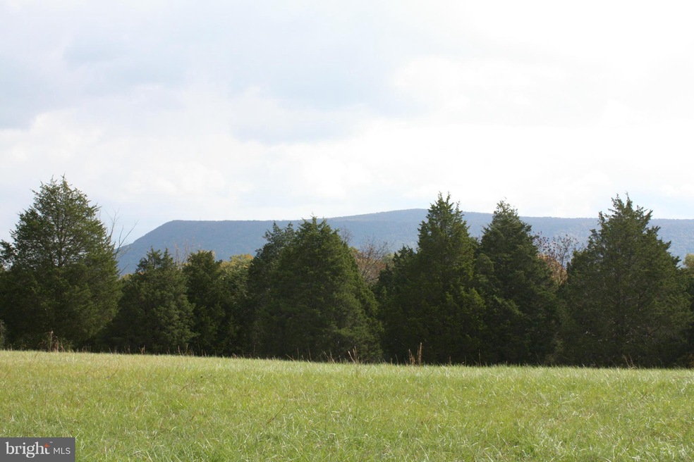 0 Old Valley Pike unit 1000873194, Strasburg, VA 22657 - photo 1