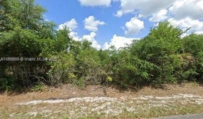 1708 Columbus Ave, Lehigh Acres, FL 33972 - photo 1