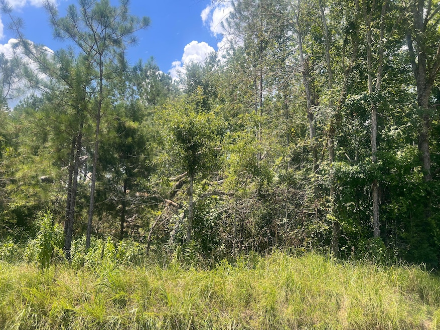 00 Gilchrist Rd, Edgefield, SC 29824 - photo 1