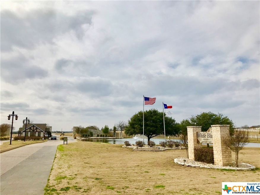 8003 Fawn Dr, Whitney, TX 76692 - photo 1