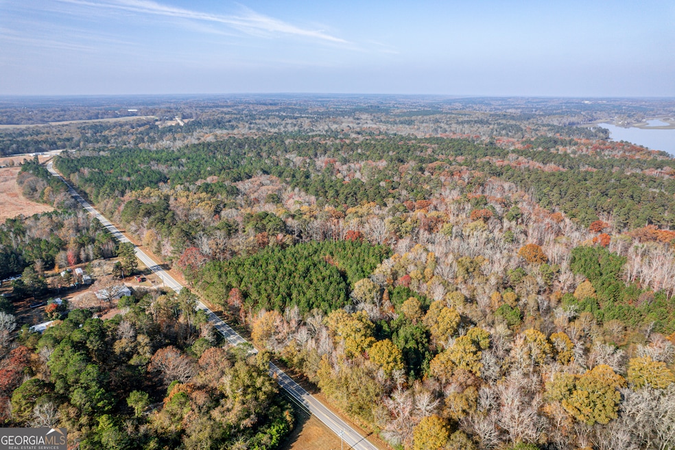 701 Twin Bridges Rd, Eatonton, GA 31024 - photo 1