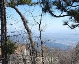 42 Park Dr, Running Springs Area, CA 92382 - photo 1