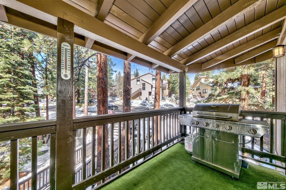 170 Squaw Ln unit A, Glenbrook, NV 89413 - photo 1