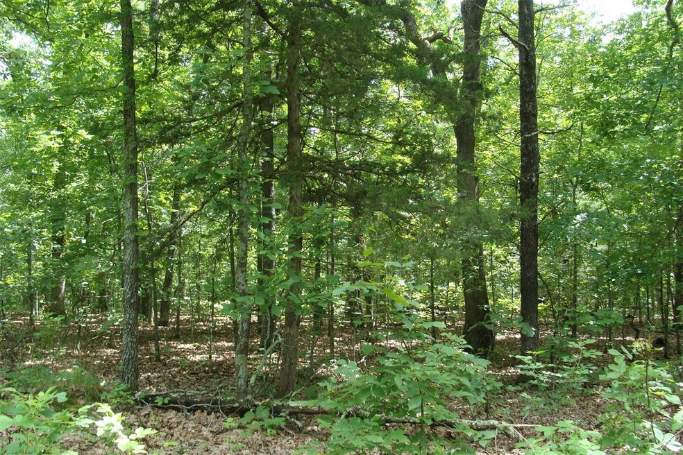 0 Highway F unit 20045509, Rolla, MO 65401 - photo 1