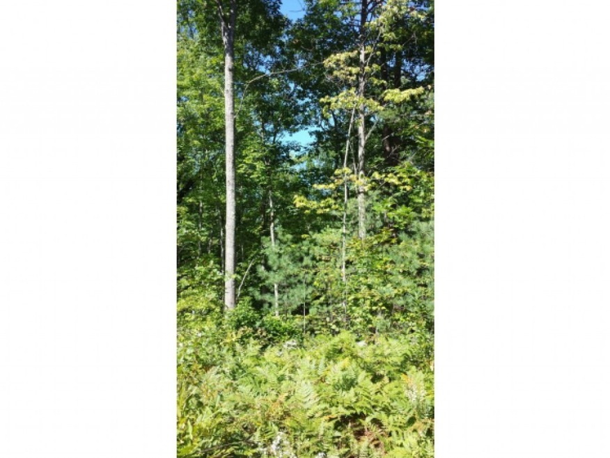 Lot 6 Barend, Wakefield, NH 03872 - photo 1
