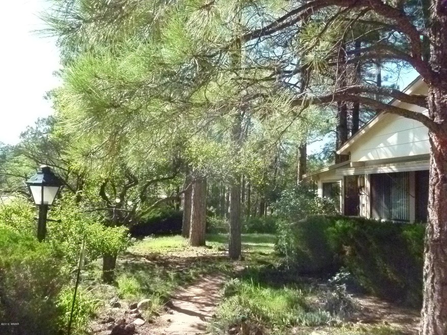 P1050168