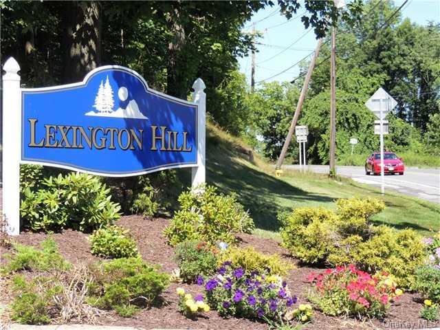 1 Lexington Hills Rd unit 1-11, Harriman, NY 10926 - photo 1