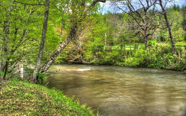 0 Indian Village Rd unit 268101, Blue Ridge, GA 30513 - photo 1