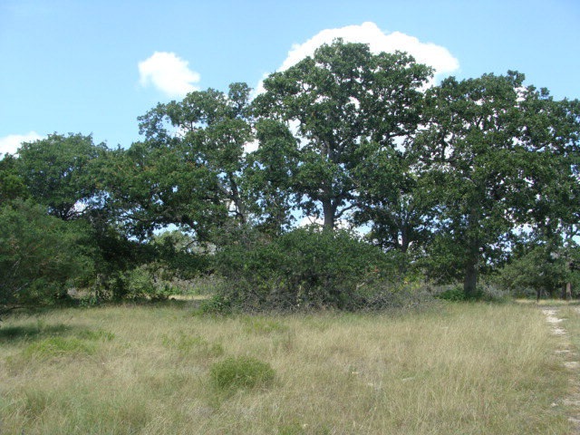 4188 Center Point Rd, Fredericksburg, TX 78624 - photo 1